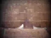 #glasses trailer 15/16