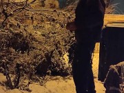 Winter night in the yard 2/16