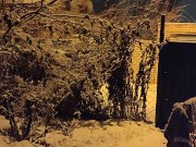 Winter night in the yard 4/16