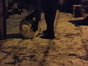 Winter night in the yard 8/16