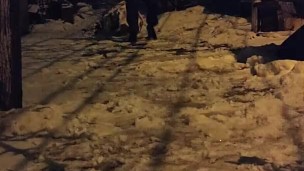 Winter night in the yard