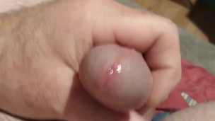 Morning nut