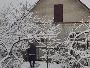 Winter in the garden 10/16