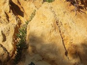 Hot brunette risks masturbating on a public beach while doing her exercise 5/16