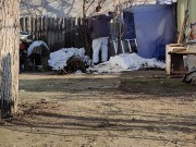 Morning, sun and coffee 7/16