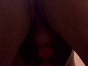 MORENA RABUDA DE LIGERIE 11/16