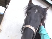 Resumen de la jornada en la mansión de Nacho Vidal 1/16