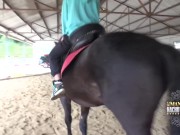 Resumen de la jornada en la mansión de Nacho Vidal 3/16