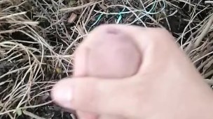 RICA PAJA AL AIRE LIBRE :3