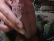 Canario durante una dura guardia  3/16