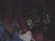 Monster Cock Worship By Mrs. New England