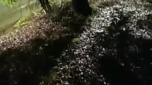 pissing in a public park during pride by the road