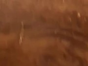 Just a quickie  - Screenshot 12 of 16 - Girl Masturbating