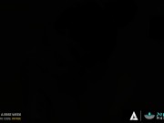 Bachelor's Parties Always End Up Dirty 11/16