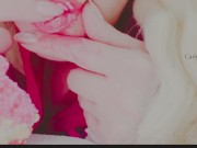 The cupcake striptease  5/16