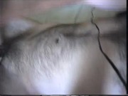 Vintage Missy and George Blowjob - A Look Back at 2006 12/16