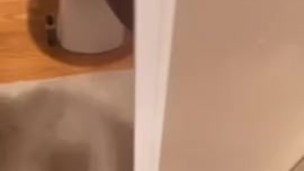 Quick little Cum shot 