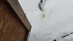 Peeing in the snow