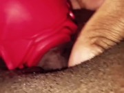 Clit Sucking: Rosey sucking my clit  13/16