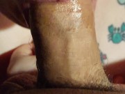 Morning blow job 8/16