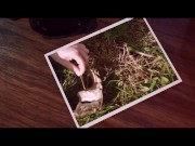 Italian babe Silvia Soprano worships her dominant's ass and feet as they walk along the sea 1/16