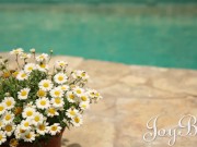 JoyBear - Outdoor Orgasms For Gorgeous Lesbians 2/16