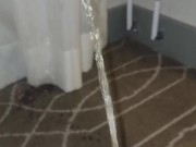 Naughty pisser soaks carpet and drapes 2/16