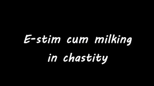 E-stim cum milking with chastity device