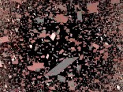 dominant fucking 58 16/16