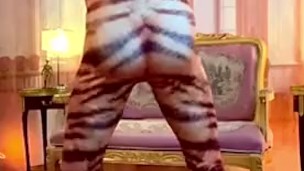 Toronto’s MarktheModel GYM TIGER