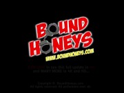 Your Valentines Day Pet is waiting in her cage. 1/16