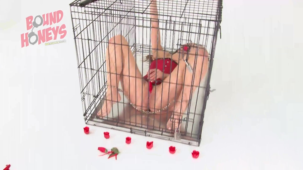 Your Valentines Day Pet is waiting in her cage. - Free Sex Video - RedTube