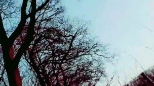 Slutboyben CAM4 Pornhub 5 M Views Tribute IV