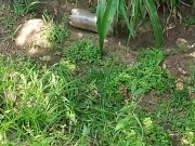 Very Hot outside quick jumo in the pool and wank outside 2/16