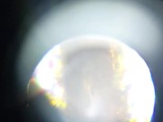 Weed hair through a microscope 12/16