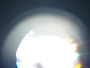 Weed hair through a microscope 13/16