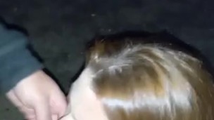 Public blowjob in park at night