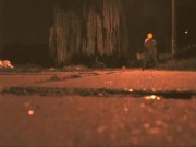 Украинская ночь (3 серия) 10/16