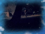 Украинская ночь (4 серия) 14/16