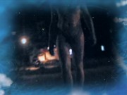 Украинская ночь (4 серия) 16/16