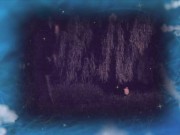 Украинская ночь (4 серия) 7/16