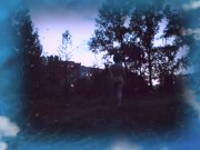 Украинская ночь (4 серия) 8/16