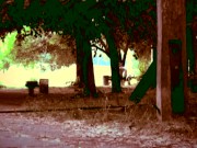 В парке голышом 4/16