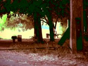 В парке голышом 7/16