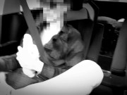 Horny on a road trip 9/16