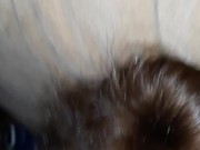 Snowbunny sucks bbc  12/16