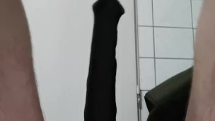 Horse Cock Anal insert 