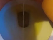Hairy pussy peeing in toilet  14/16