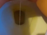 Hairy pussy peeing in toilet  15/16