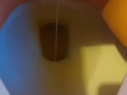 Hairy pussy peeing in toilet  16/16